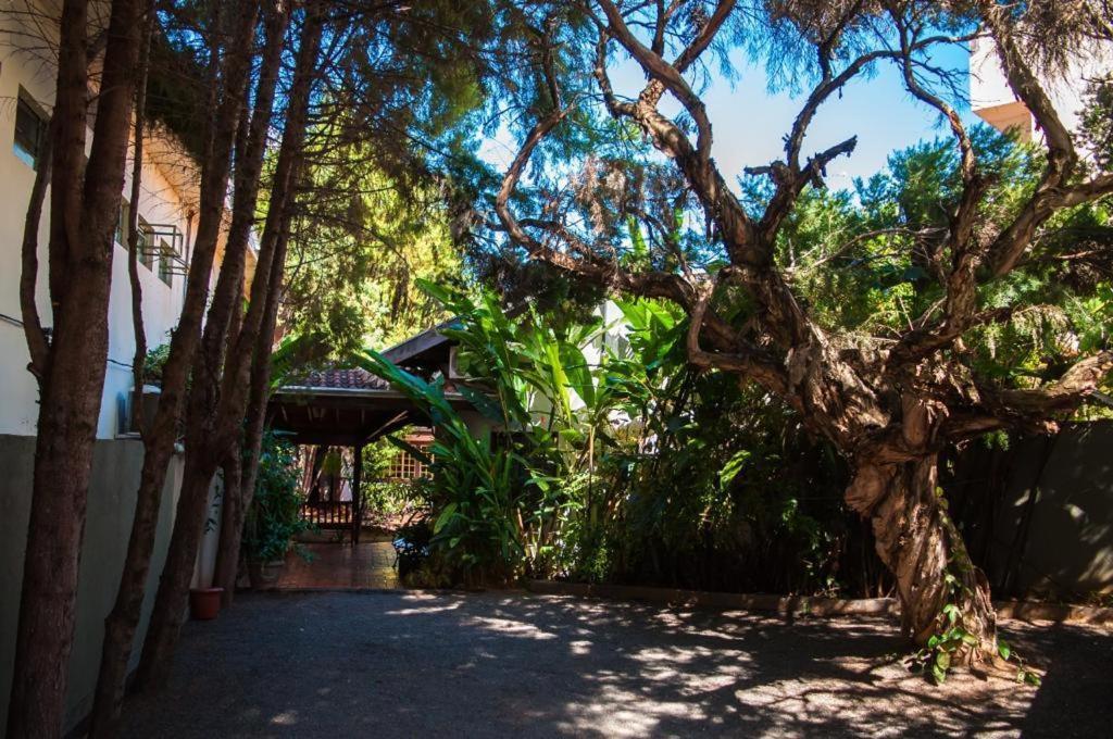 Galeria Hotel Pousada Jaguariúna Eksteriør billede